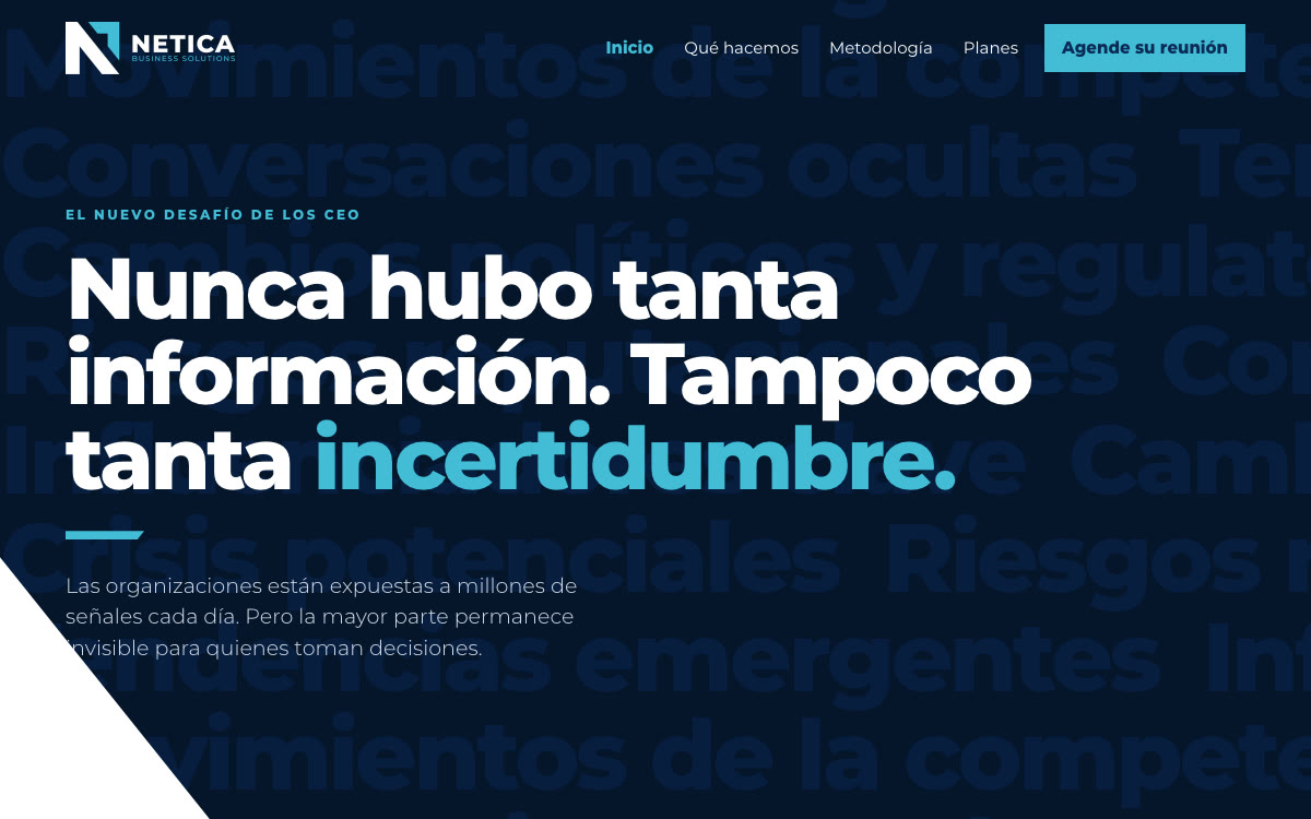 The netica.solutions home page: the Netica logo, the menu Inicio, Qué hacemos, Metodología and Planes, and the headline “Nunca hubo tanta información. Tampoco tanta incertidumbre.” over large faded words on dark navy.