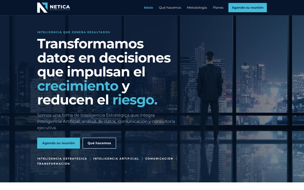 The netica.solutions home page: the Netica logo and the headline “Transformamos datos en decisiones que impulsan el crecimiento y reducen el riesgo.” beside a man at a window over a city at night.